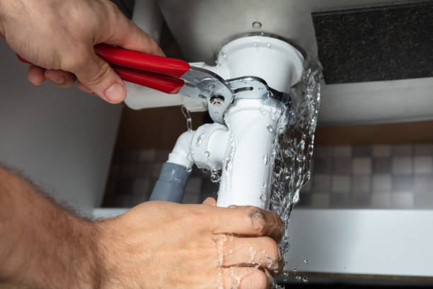 Best Water damage cleanup near me  in Olga, FL