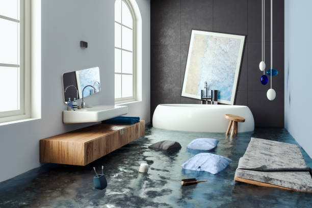 Best Water damage restoration near me  in Olga, FL