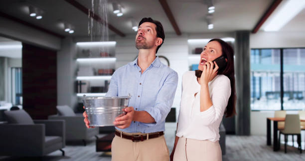 Best Professional water damage repair  in Olga, FL